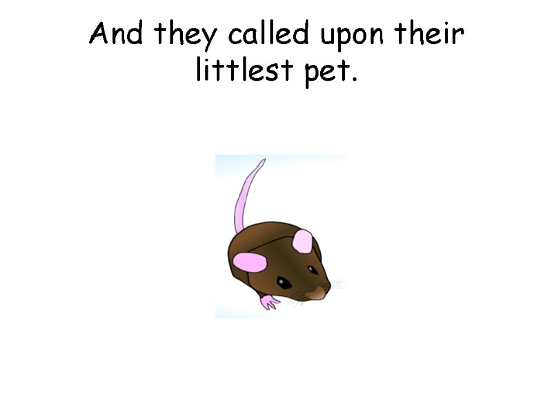 And they called upon their littlest pet.